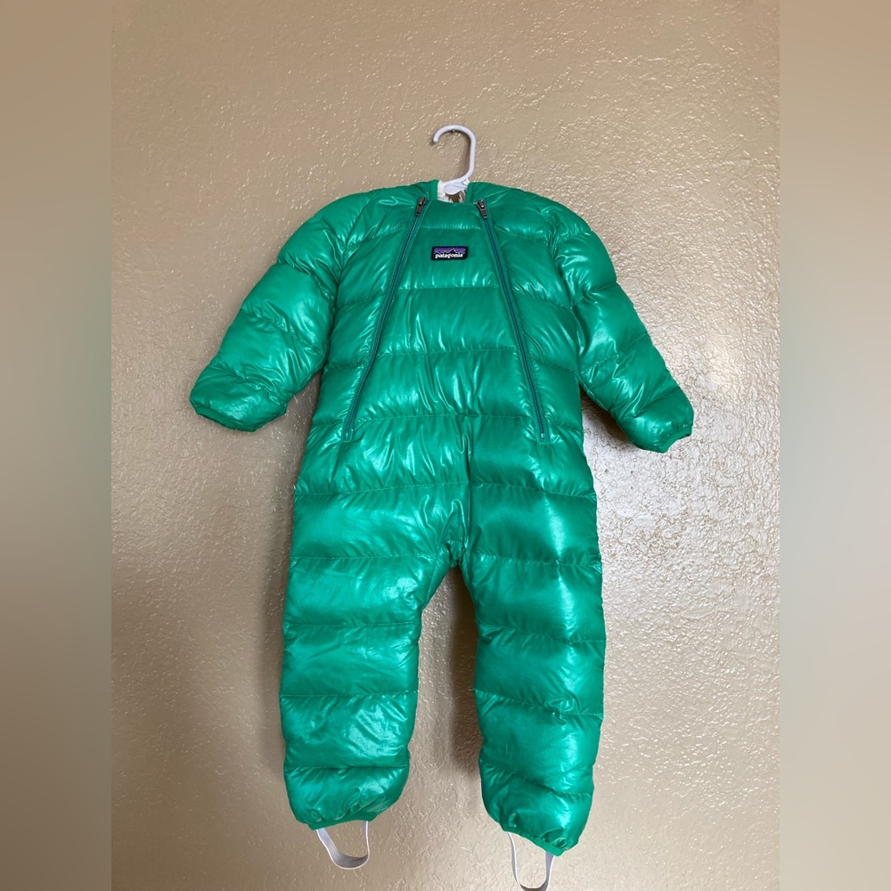 Patagonia puffer bunting